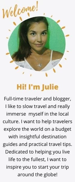 Julie Around the Globe mini bio