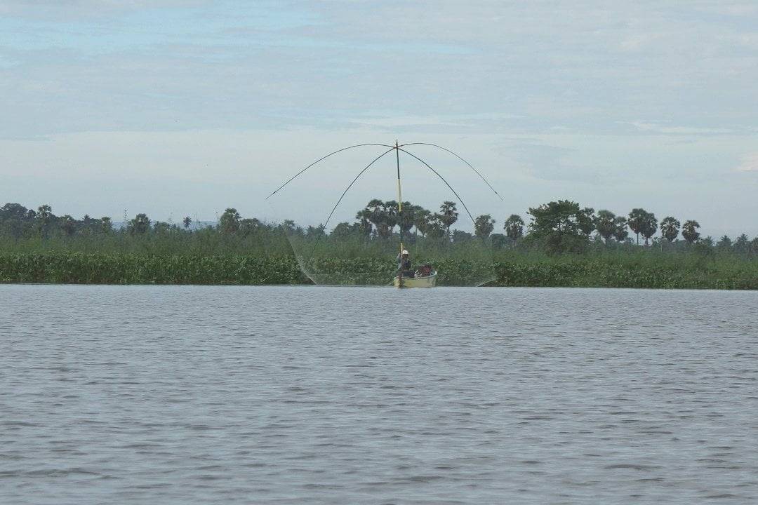 Fisherman throwing his net, Danau Tempe, Sulawesi, Indonesia, floating village