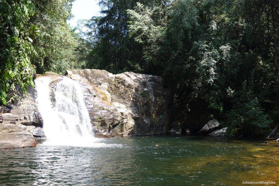 Sinharaja Rainforest: Trekking in Sri Lanka last rain forest