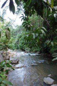 Air Panas Malange, hot spring, bajawa, Flores, Indonesia