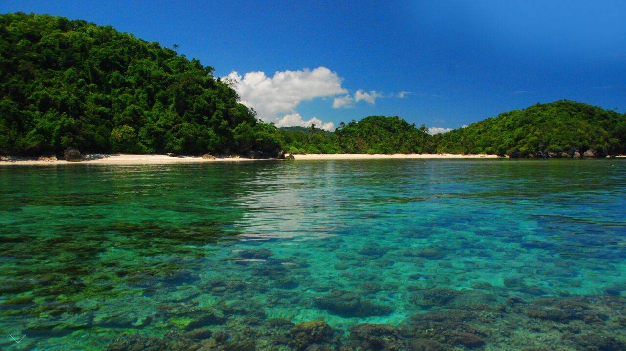 Danjugan Island, Negros, Philippines