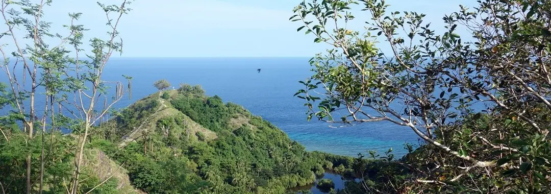 Apo Island