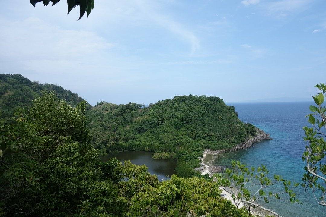 Apo island dumaguete, Philippines