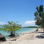 Honda Bay tour do it yourself Cowry Island - Honda Bay tour do it yourself