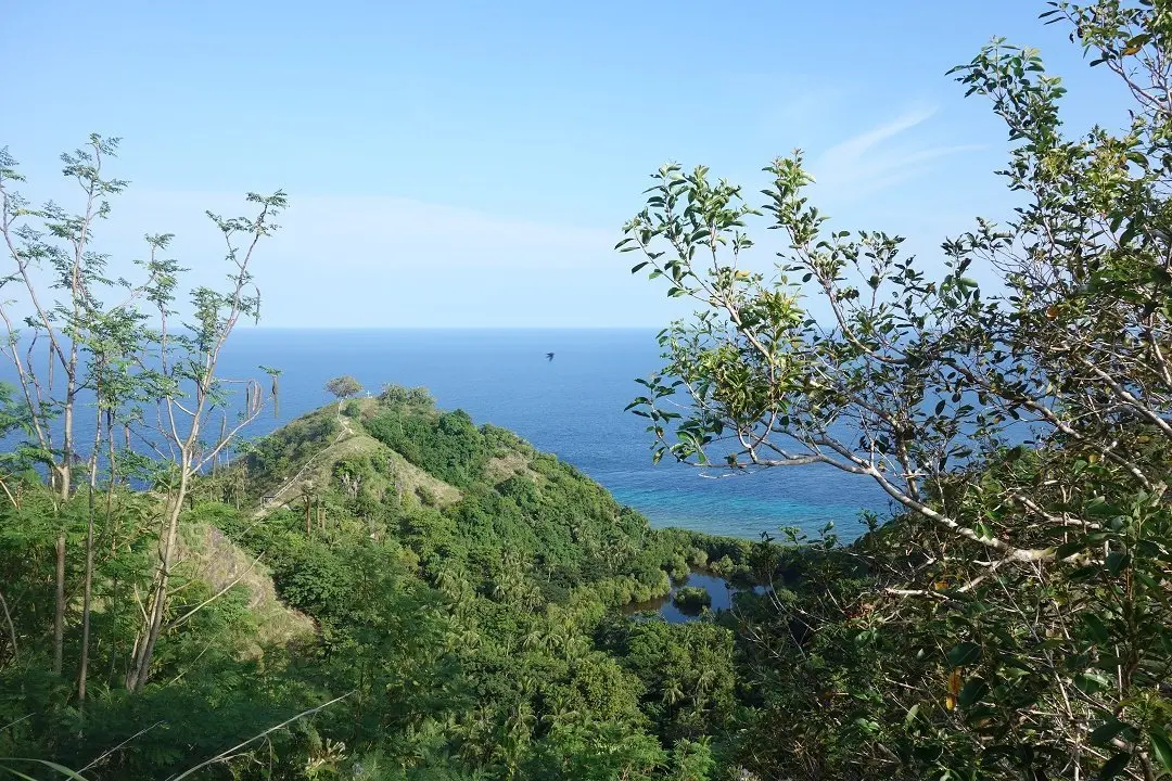 Apo island, Philippines