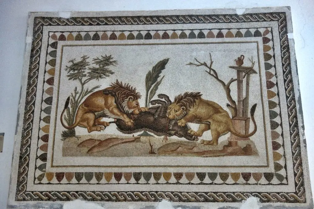 El Jem Museum, mosaic, Tunisia