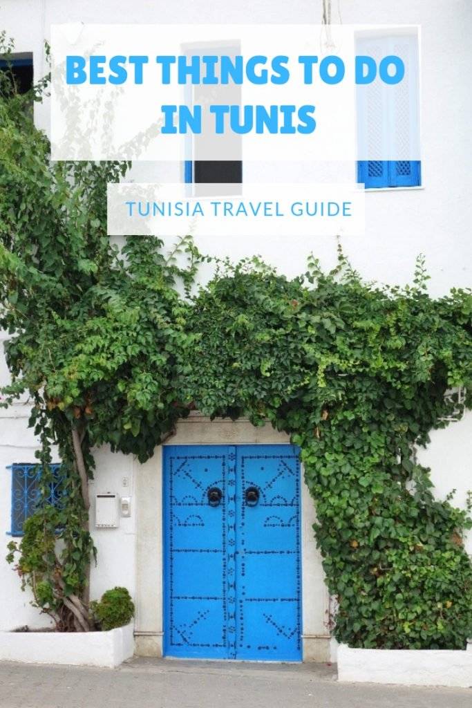 Best things to do in and around Tunis #travel #tunisia #africa