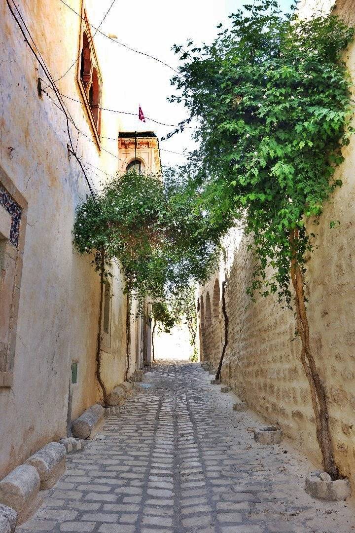 Medinas in Tunisia - A walk through History