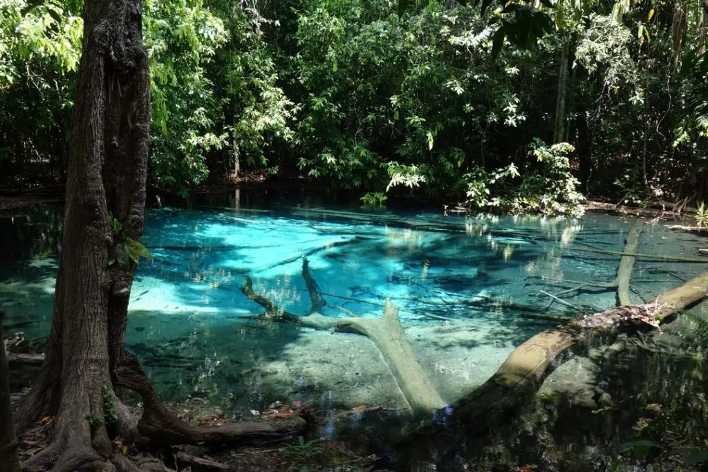 Emerald pool, Krabi, Thailand