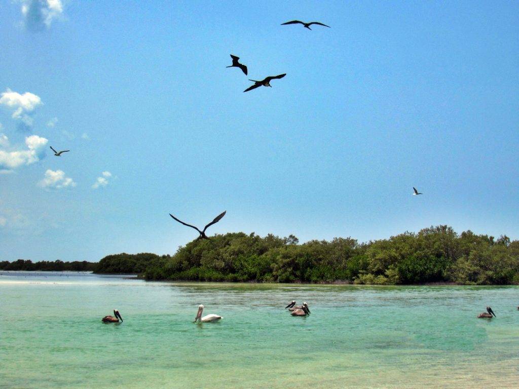 Things to do in Holbox, Mexico