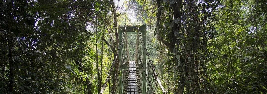 Gunung Mulu National Park – Complete travel guide