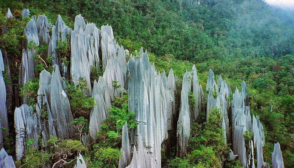 Pinnacles in Gunung Mulu National Park, Sarawak, Malaysia