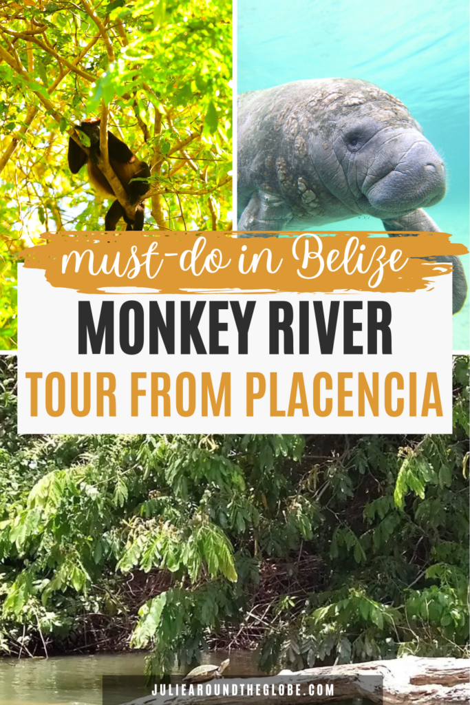 Monkey River Belize Tour from Placencia Review