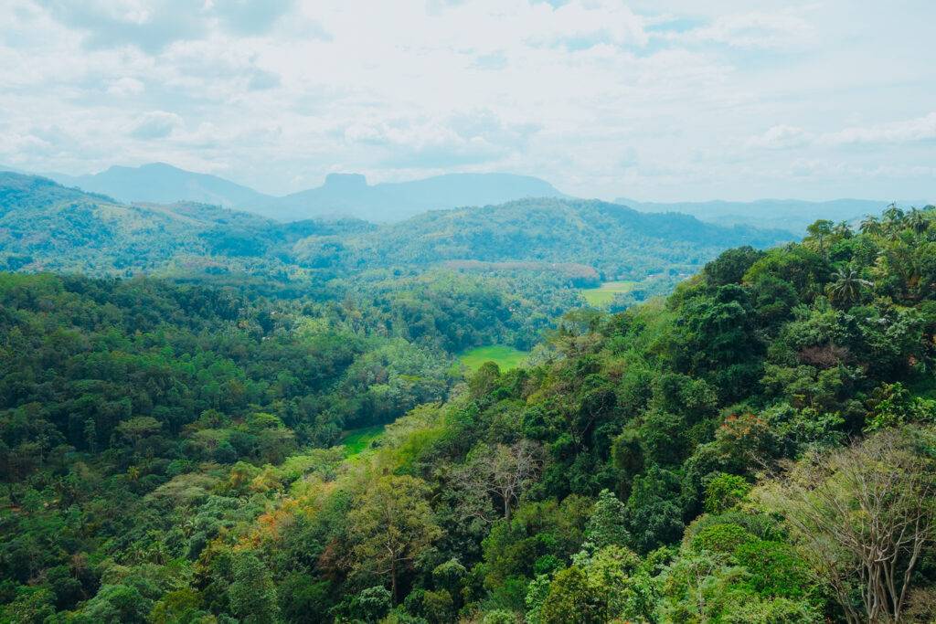 Exploring around Kandy (2)