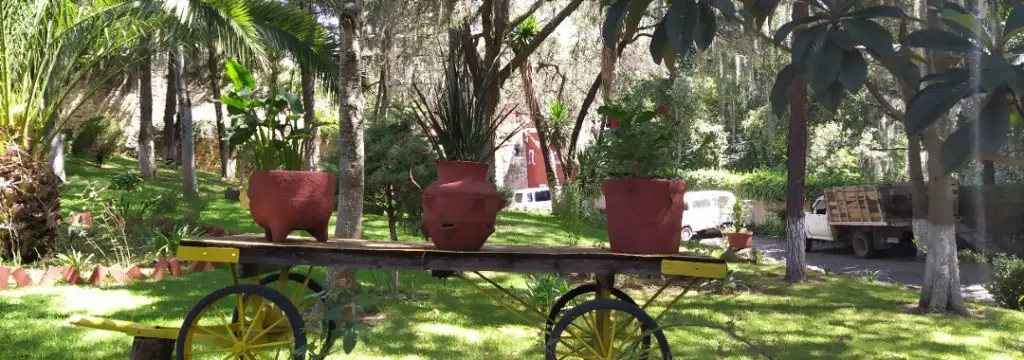 Huasca de Ocampo, Hidalgo(2)