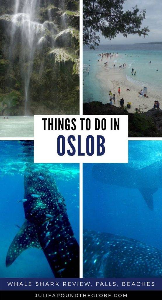 Whale sharks watching in Oslob review + other things to do there