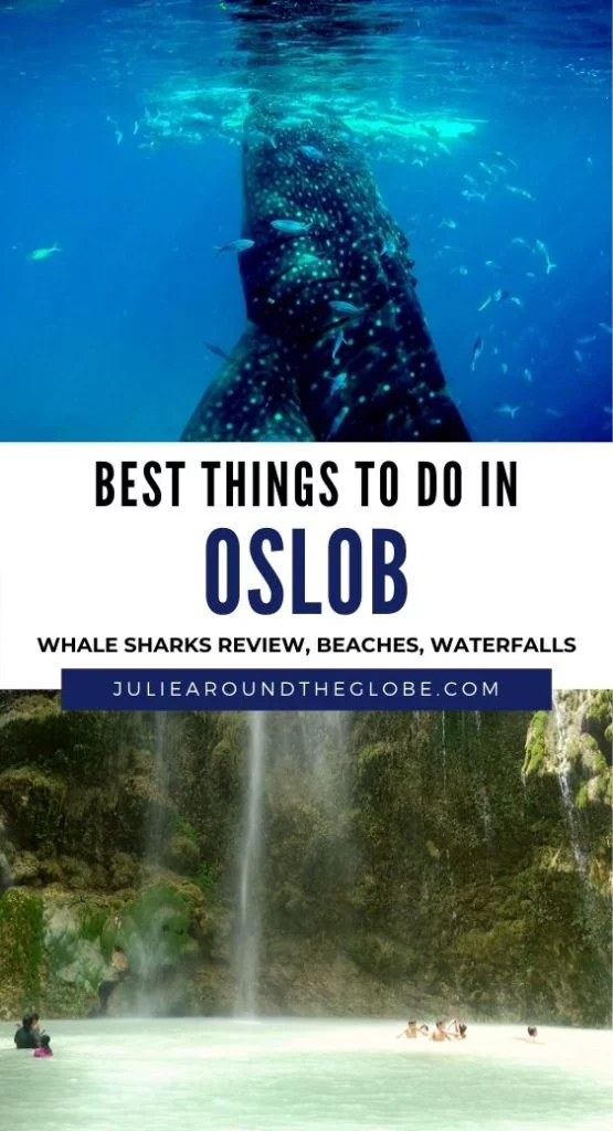 Whale sharks watching in Oslob review + other things to do there