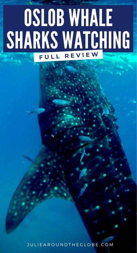 Whale sharks watching in Oslob review + other things to do there