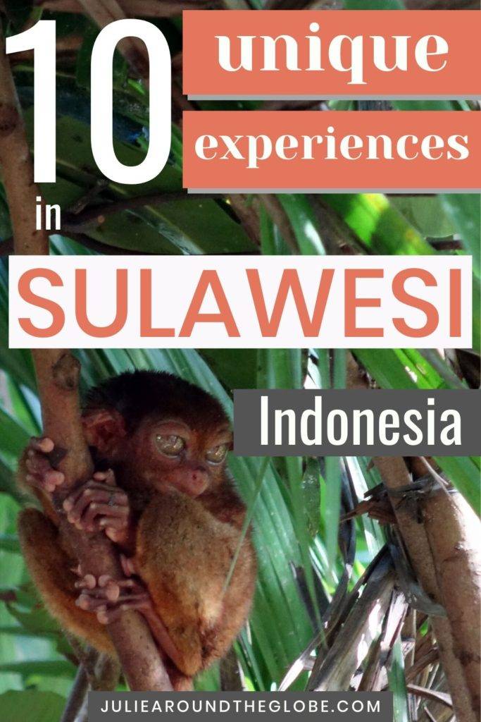 Sulawesi travel guide, Indonesia