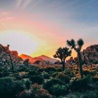 Joshua Tree National Park, Romantic Getaways in Southern California on a Budget
