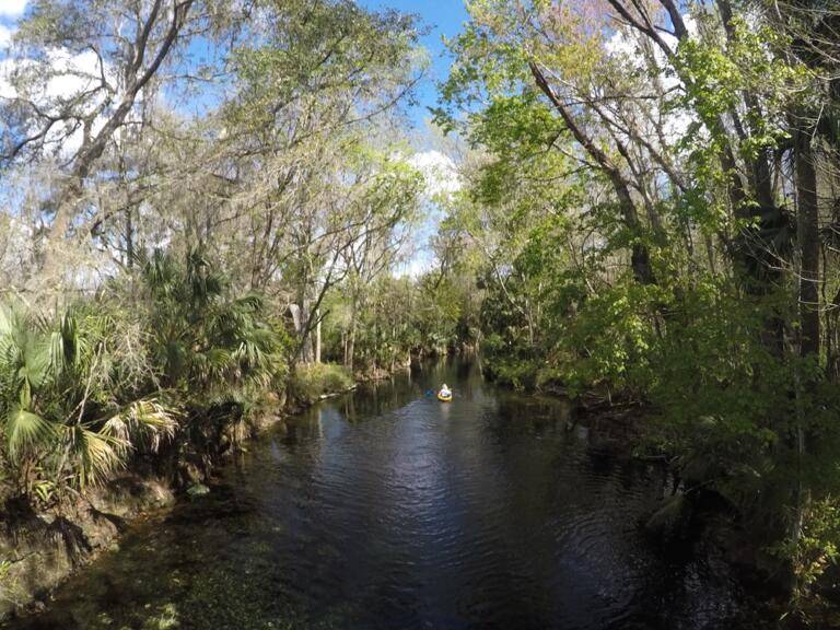 10+ Affordable Romantic Getaways in Florida for Couples on a Budget