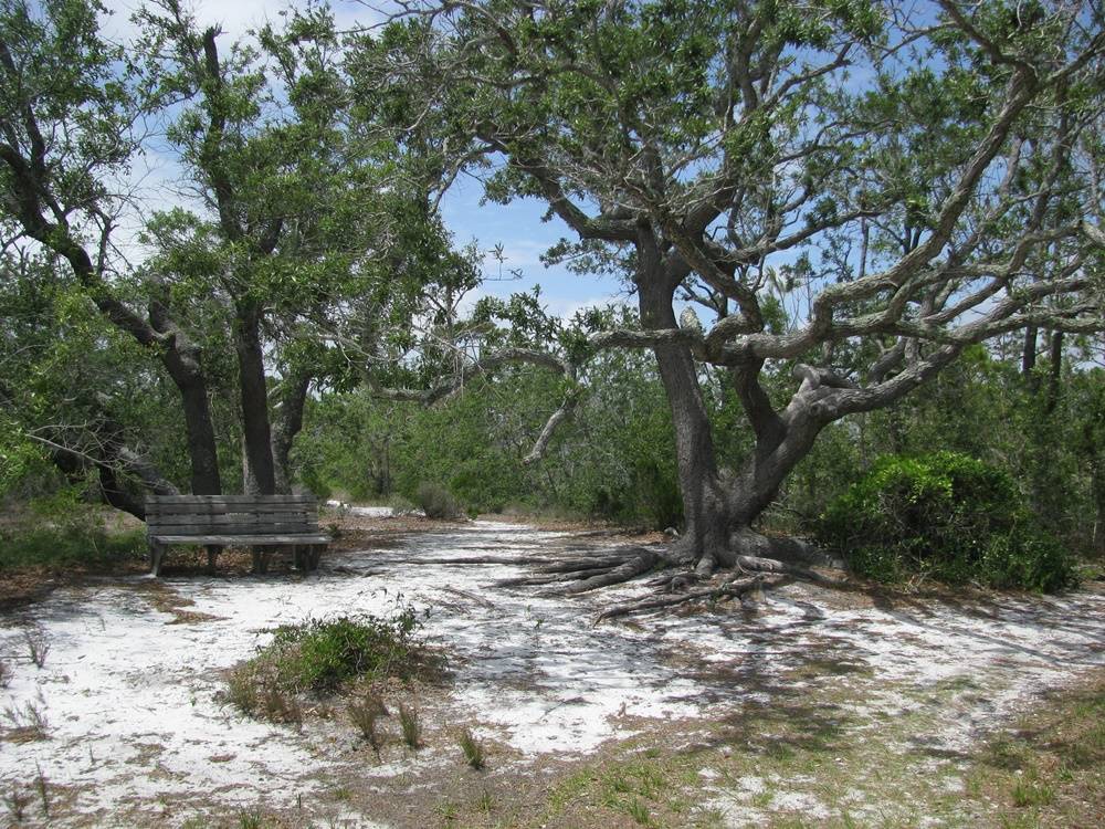 gulf islands national seashore trail, Florida