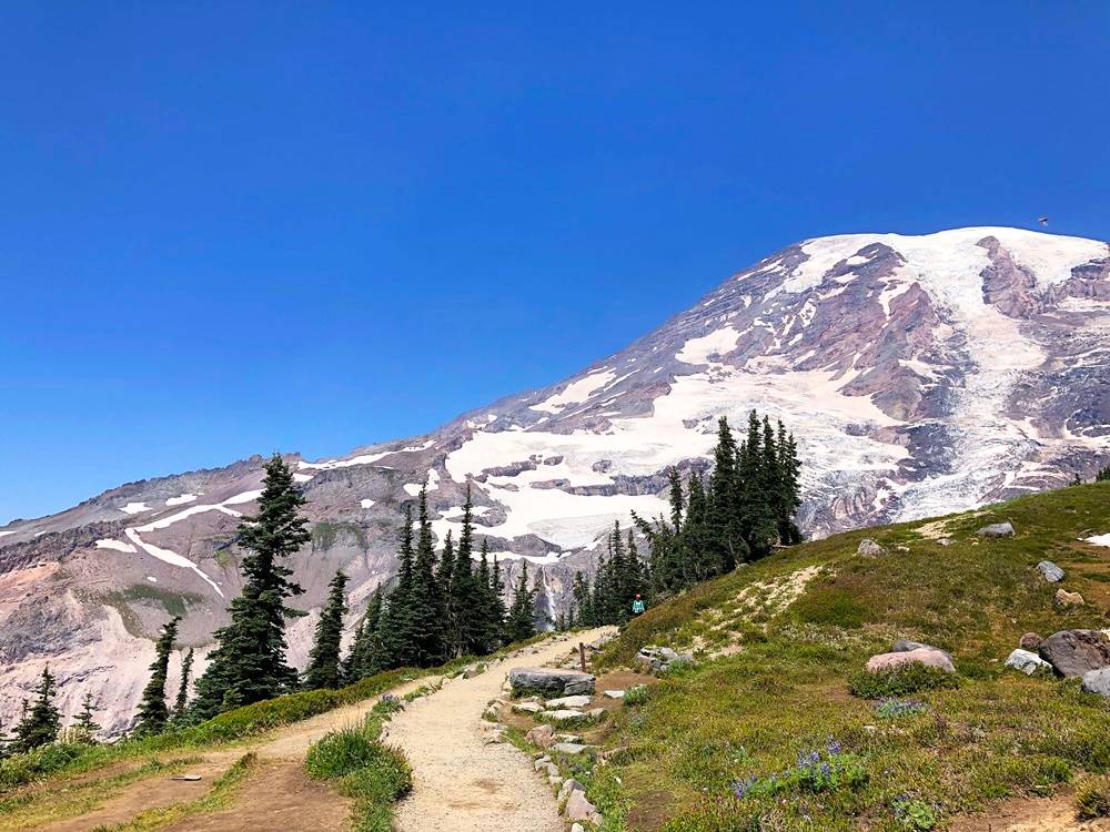Hiking trail Mount Rainier