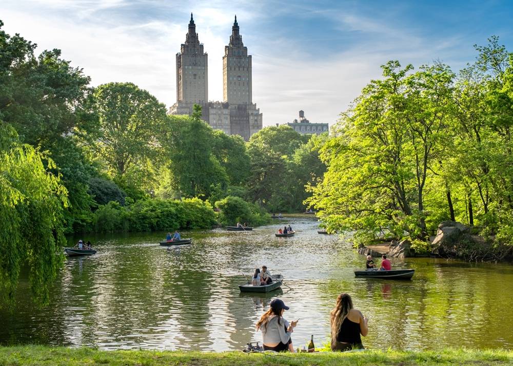 Central Park, NYC in summer