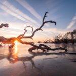 Driftwood Beach, Jekyll Island, GA, USA