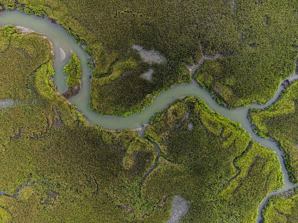 Marshes on Sullivan’s Island, South Carolina