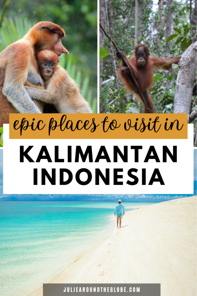 Best things to do in Kalimantan, Indonesia