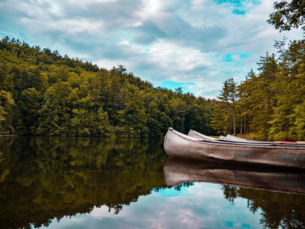 The Wilds, Brevard, United States