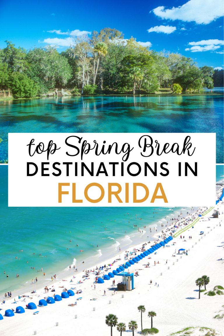 15 Best FamilyFriendly Spring Break Destinations in Florida