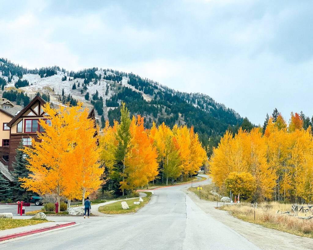 Jackson Hole Wyoming in fall