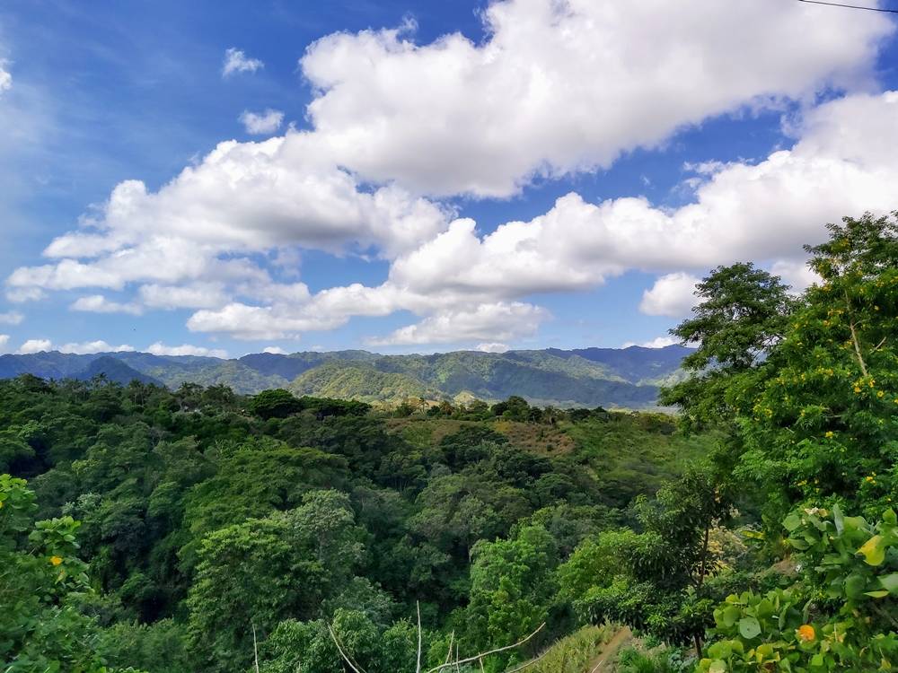 Nicaragua's Rainforest