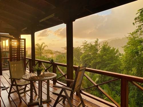 Jungle views in Seychelles
