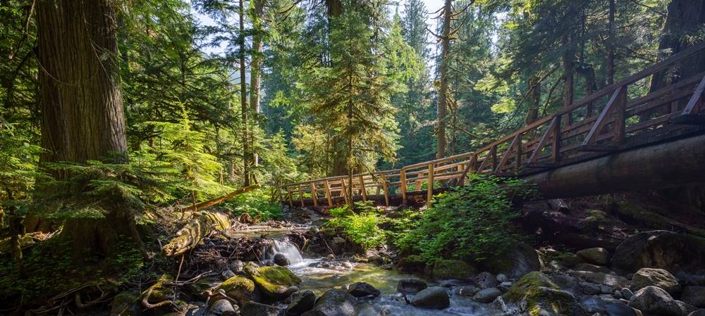 Affordable Romantic Getaways in Washington State