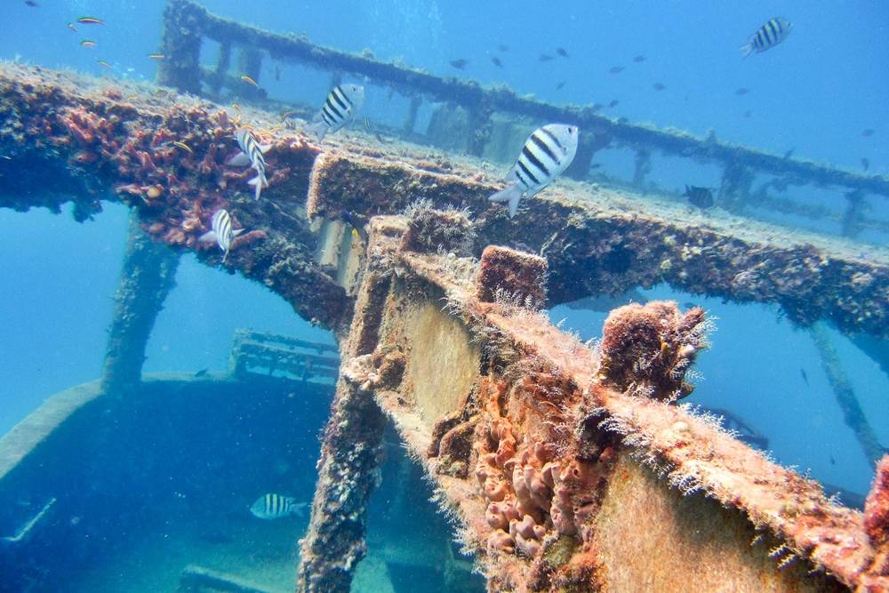 Carlisle Bay Shipwreck