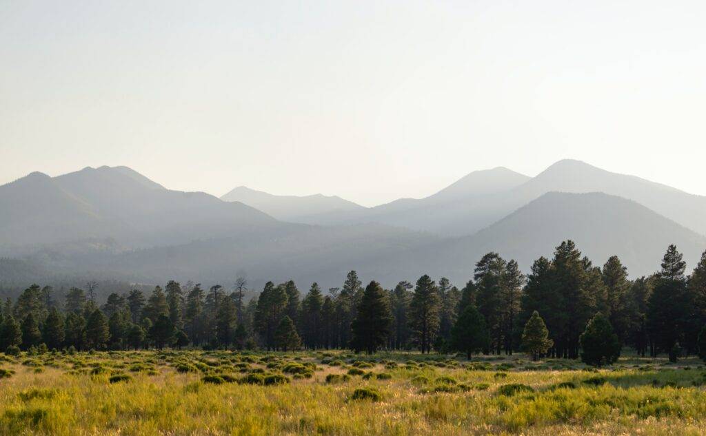View of San Francisco Peaks from Flagstaff