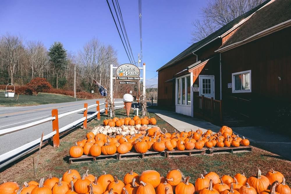 Pumpkins for sale in Bennington,VT in the Fall