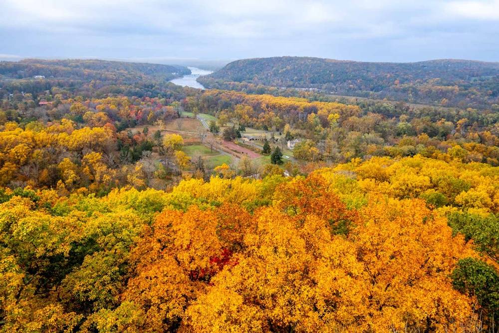 Fall foliage view, Bowmans Hill Tower