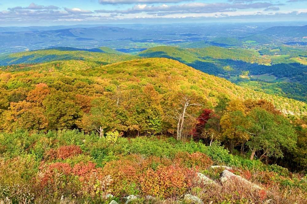 Shenandoah National Park in the fall