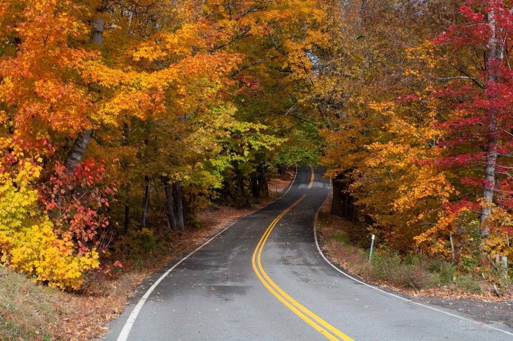 Door County road with fall foliage