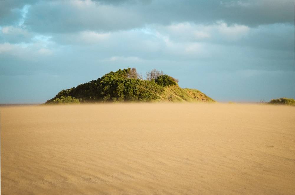 Pinamar Sand Dune