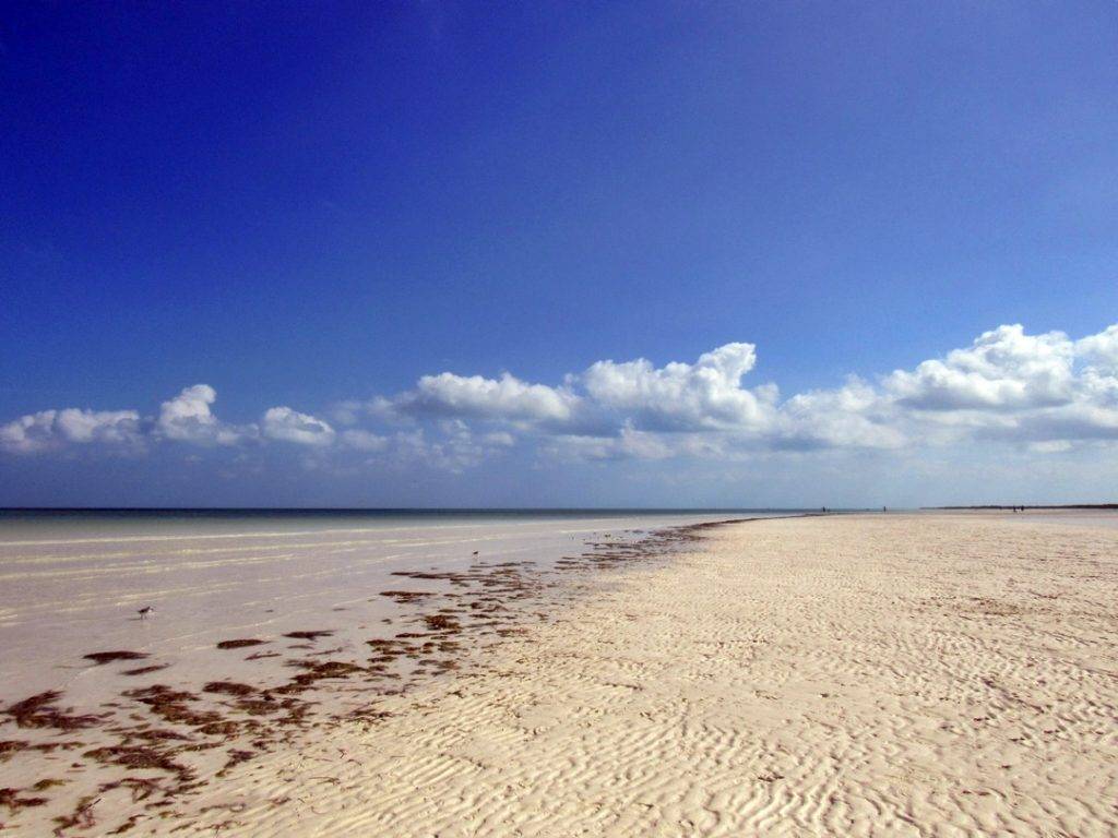 Things to do in Holbox, Mexico