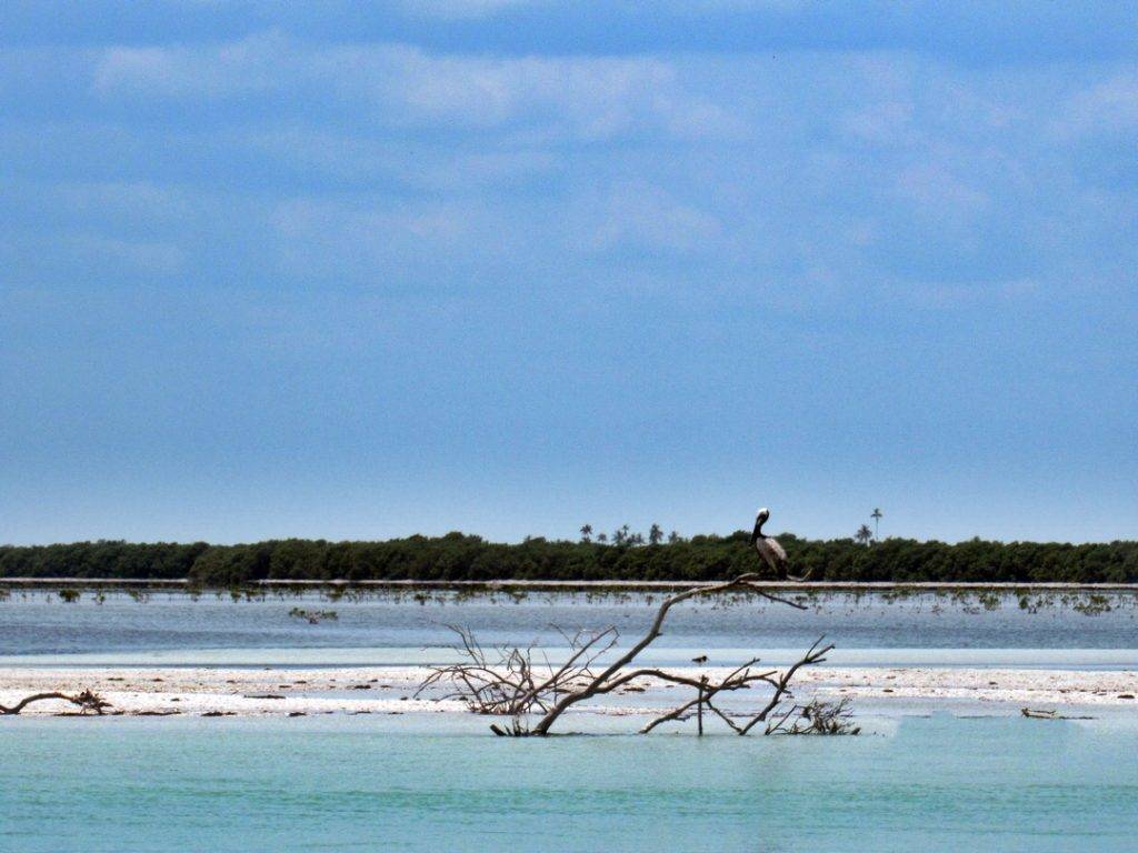 Things to do in Holbox, Mexico