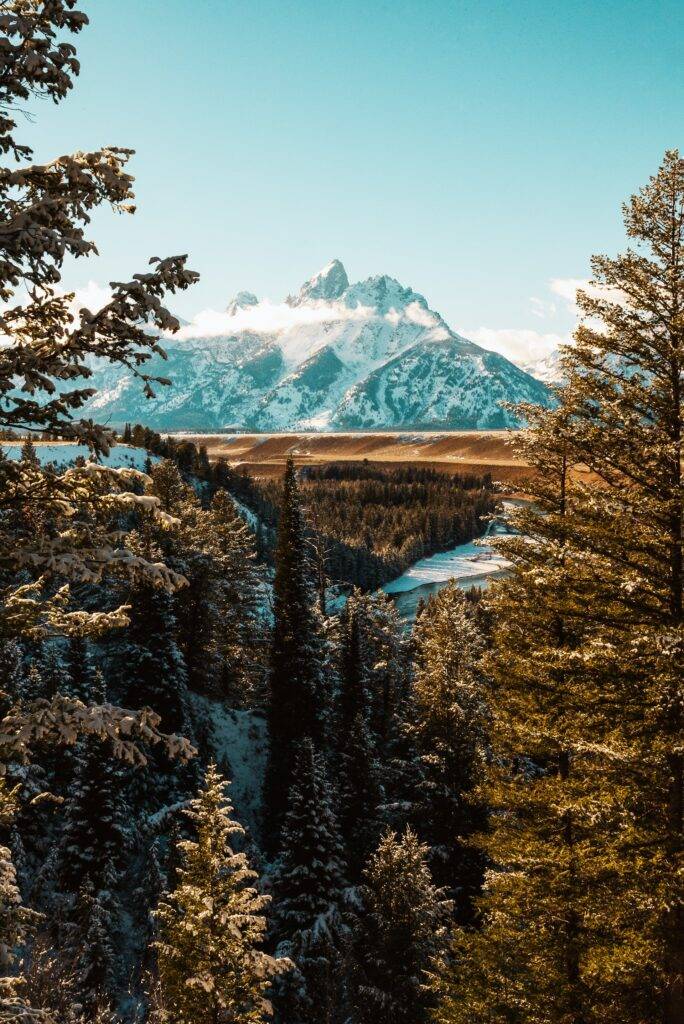 Jackson Hole