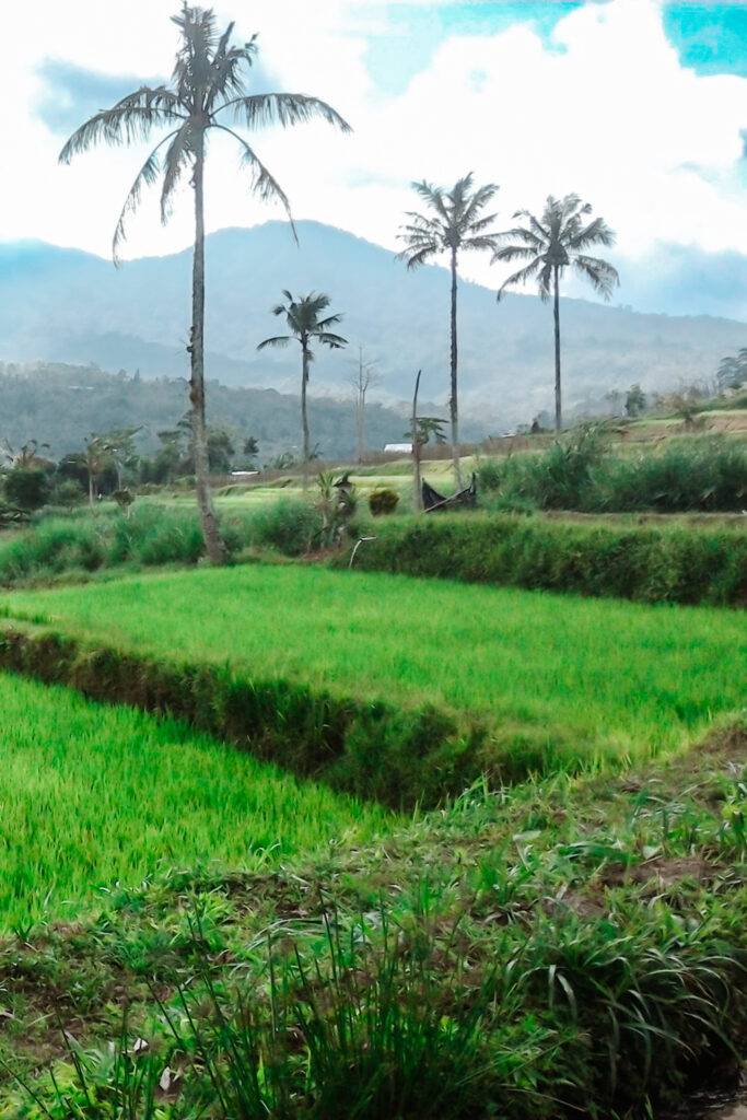 Ubud, Bali, Indonesia