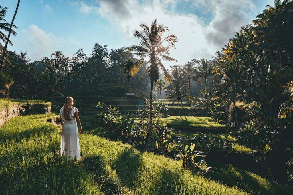 Bali, Tegalalang Ricefields