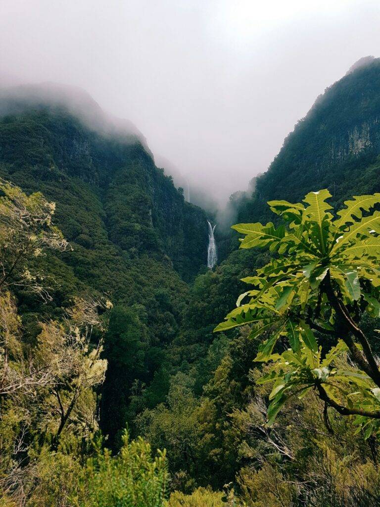 Madeira